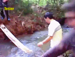 GIF87a