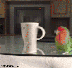 gifsboom:  vine