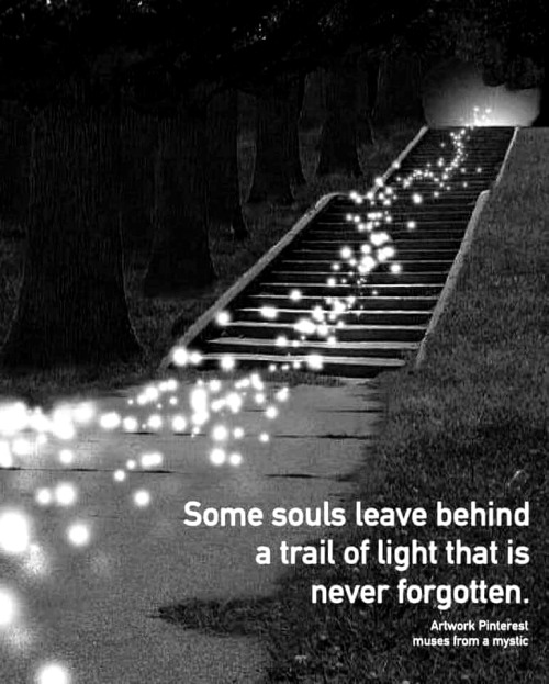 Musings and Mewsings