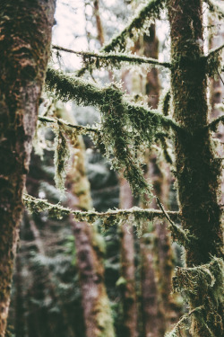 tumhblr:  nature
