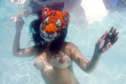 openbooks:  A tigress underwater!  Los Angeles, CA. August 2010