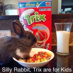 Excuse me waiter, there’s a hare in my cereal