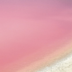 studiovq: Pink lakes filled with salt. The pink hue is due to