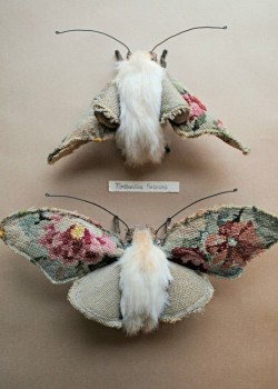 stem-cell:  thatfaeriechick:  A little moth ‘plushie’ made