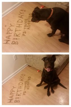 cute-overload:  It’s his 1st birthday, I thought it would be