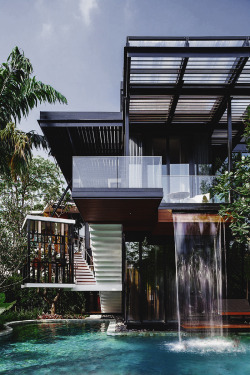 envyavenue:  Nest House