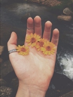 flowers | Tumblr on We Heart It http://weheartit.com/entry/124566133/via/kassandrini