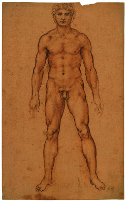 Nude man by Leonardo da Vinci | c. 1504-1506 | Red chalk and