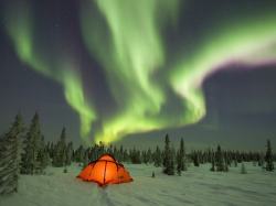 Undulating night light (Aurora Borealis in Northwest Territories,