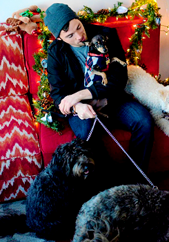 ianspainharding:  Ian Harding Cuddling With Adorable Puppies