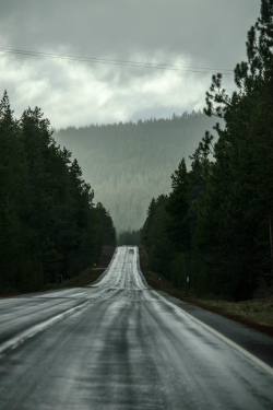 ilaurens:  Rain forest in Oregon - By: Akash Jain 