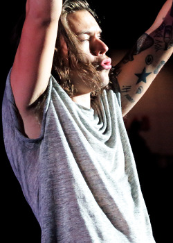 harrystylesdaily: Santa Clara, 7/11