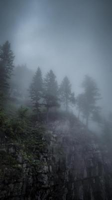 exposenature: Misty Morning, Glacier National Park, MT (OC) (4472x79522)