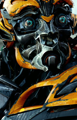 verticalfilm: Transformers: Age of Extinction (2014)