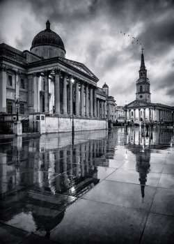 artblackwhite:Trafalgar Sq by FuzzypiggyLondon britain,england,landmark,london,rain,reflections,tourist,wet