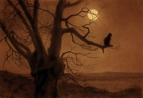 aqua-regia009:Cat in the moonlight (1900) - Theophile Alexandre