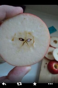 the grumpy apple
