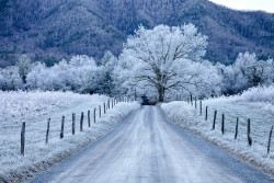 americasgreatoutdoors:  Happy first day of Winter! We are celebrating