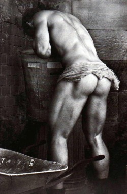 malesinphotos:  ph. Paul Freeman  