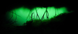 trynottodrown:  Cave diving by Jannik Pedersen 