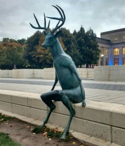 ryuichifoxe:  The nightmare deer welcome you to Columbus Ohio