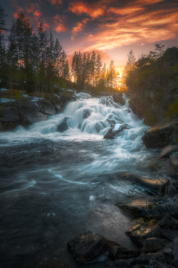 ponderation:  Power Of Love by Ole Henrik Skjelstad     