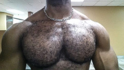 skippypodar:  Worship the hairy chest. :) 👍 