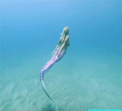 creepycutealien:  I think this is beautiful.