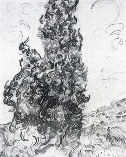 Cypresses (sketches - Vincent van Gogh