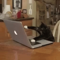 instructor144:  everythingstarstuff:  I’m gonna blog the shit