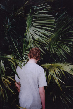 in-criminate:  untitled by STRAY666 on Flickr. 