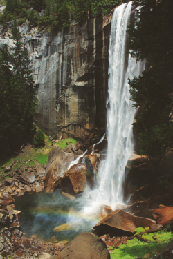 expressions-of-nature:  by tessagrace Yosemite NP, CA 