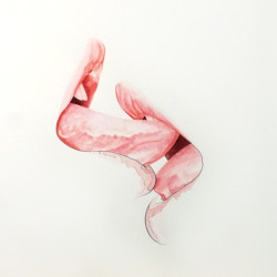 victoriousvocabulary:  LABIUM [pl. LABIA] [noun] 1. a lip or