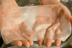 deathrayglare:  A layer of human skin made from stem cells by