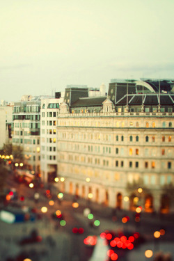 earthdaily:  Untitled (BY Irene Suchocki) 