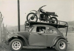 racecafe:  p3ii:  Husqvarna on a Bug   Bugain