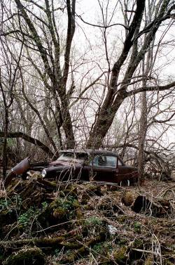 beautyofabandonedplaces:  Abandoned Car in the woods of Minnesota[OC][933x1408]