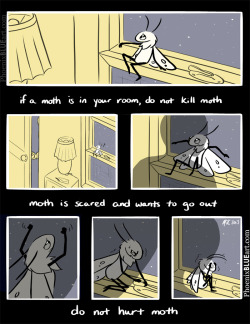 phoenixblueart:  Be Kind to Moth A short comic based on this