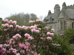 english-idylls:    Cotehele House, Cornwall, England. 