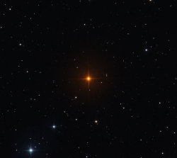 nevver:R Leporis aka The Vampire’s Star