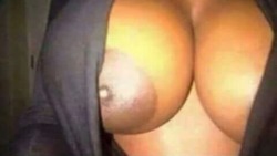 THE BREAST OF BOTH WORLDS