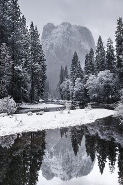 wonderous-world:  Yosemite National Park, California, United