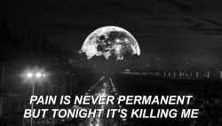 lyricsinthenight:  december // neck deep