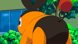 zectwastaken:      Tepig, use Thunderbolt!    