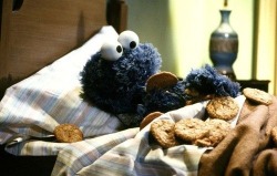 muppetmayhem:  Bedtime snack.