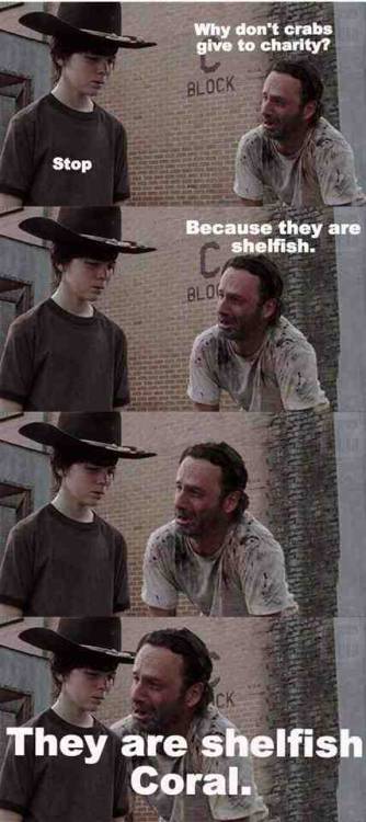 dailyapocalypse:  I laughed way too hard at thishttp://dailyapocalypse.tumblr.com/