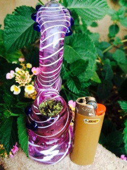 ganjaginga:  novac0caine:  Tokin outside.  ugh gorgeous piece