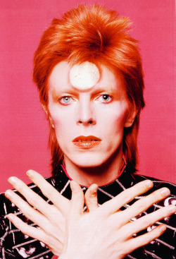 vintagegal:  R.I.P. David Bowie (January 8th, 1947 –  January