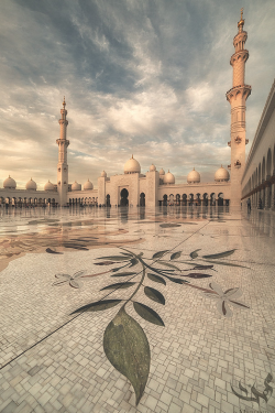 dubainian:  Sheikh Zayed Grand Mosque | Abu Dhabi, UAE | via