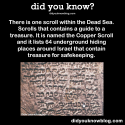 did-you-kno:  There is one scroll within the Dead Sea.  Scrolls